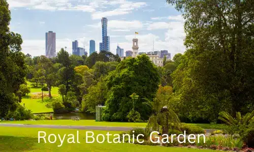 melbourne- royal botanic garden